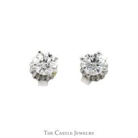 1/2cttw Lab Grown Diamond Stud Earrings in 14k White Gold