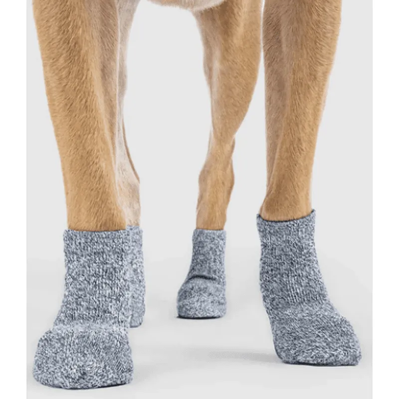 Canada Pooch The Basic Sock