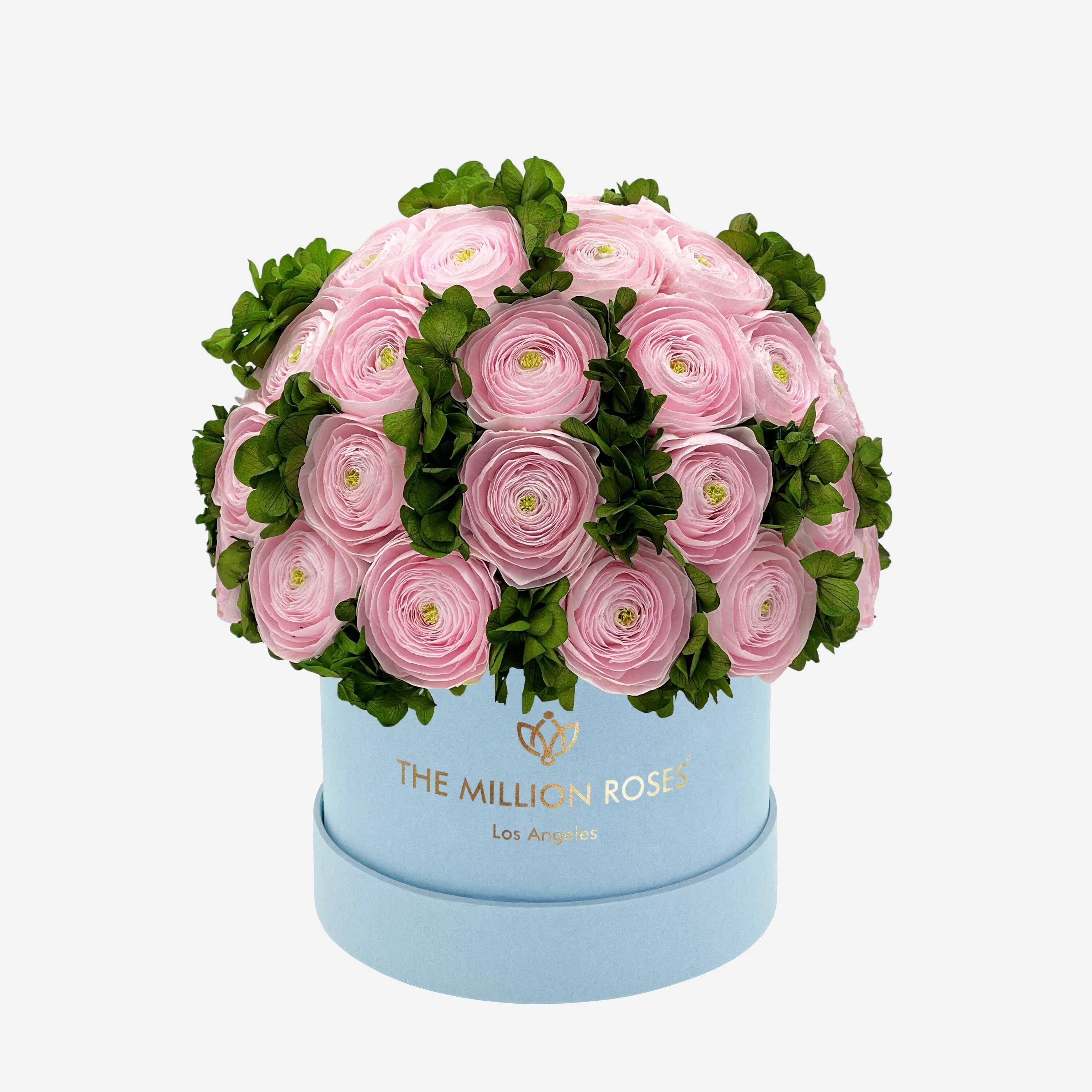 Classic Light Blue Suede Box | Light Pink Persian Buttercups & Green Hydrangeas