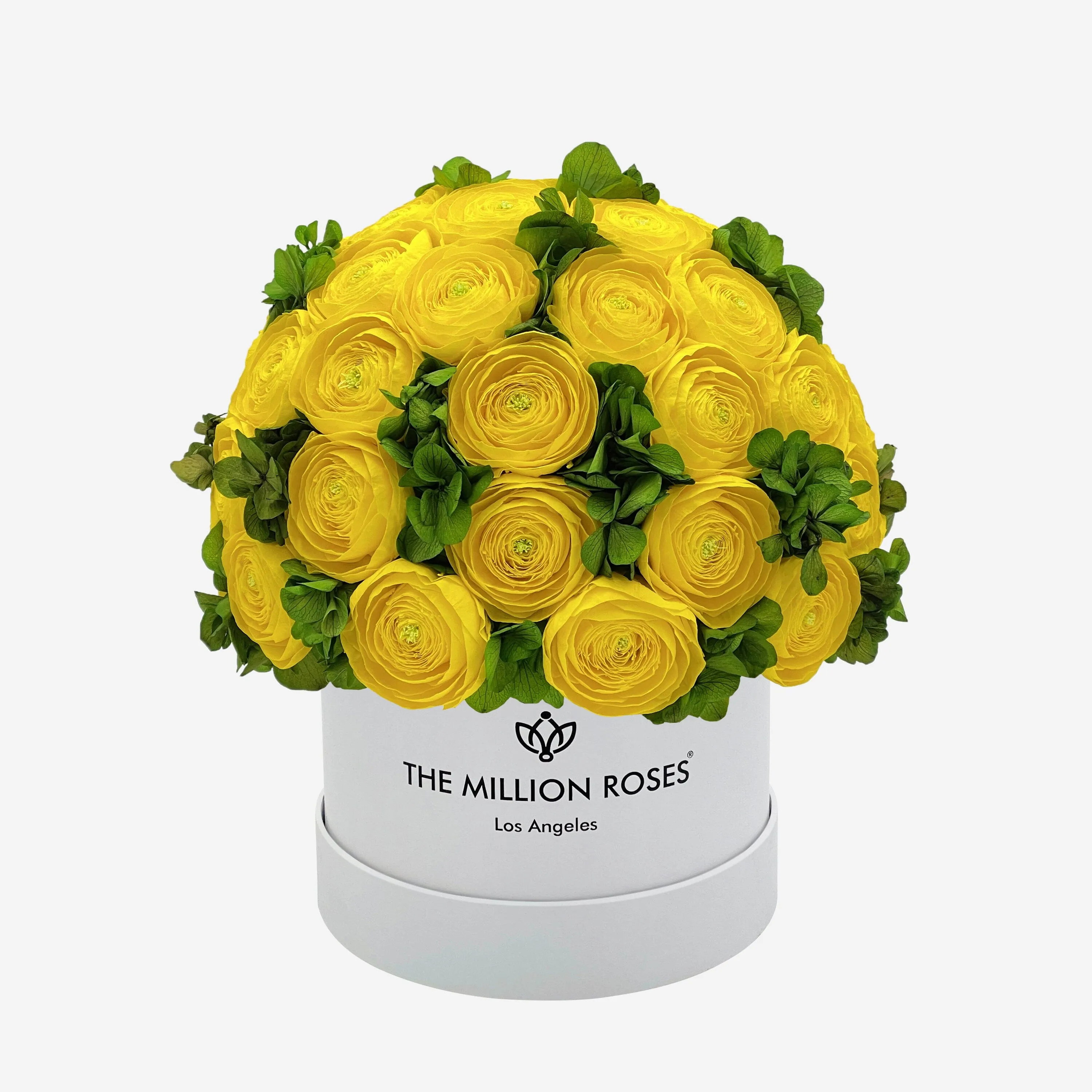 Classic White Box | Yellow Persian Buttercups & Green Hydrangeas