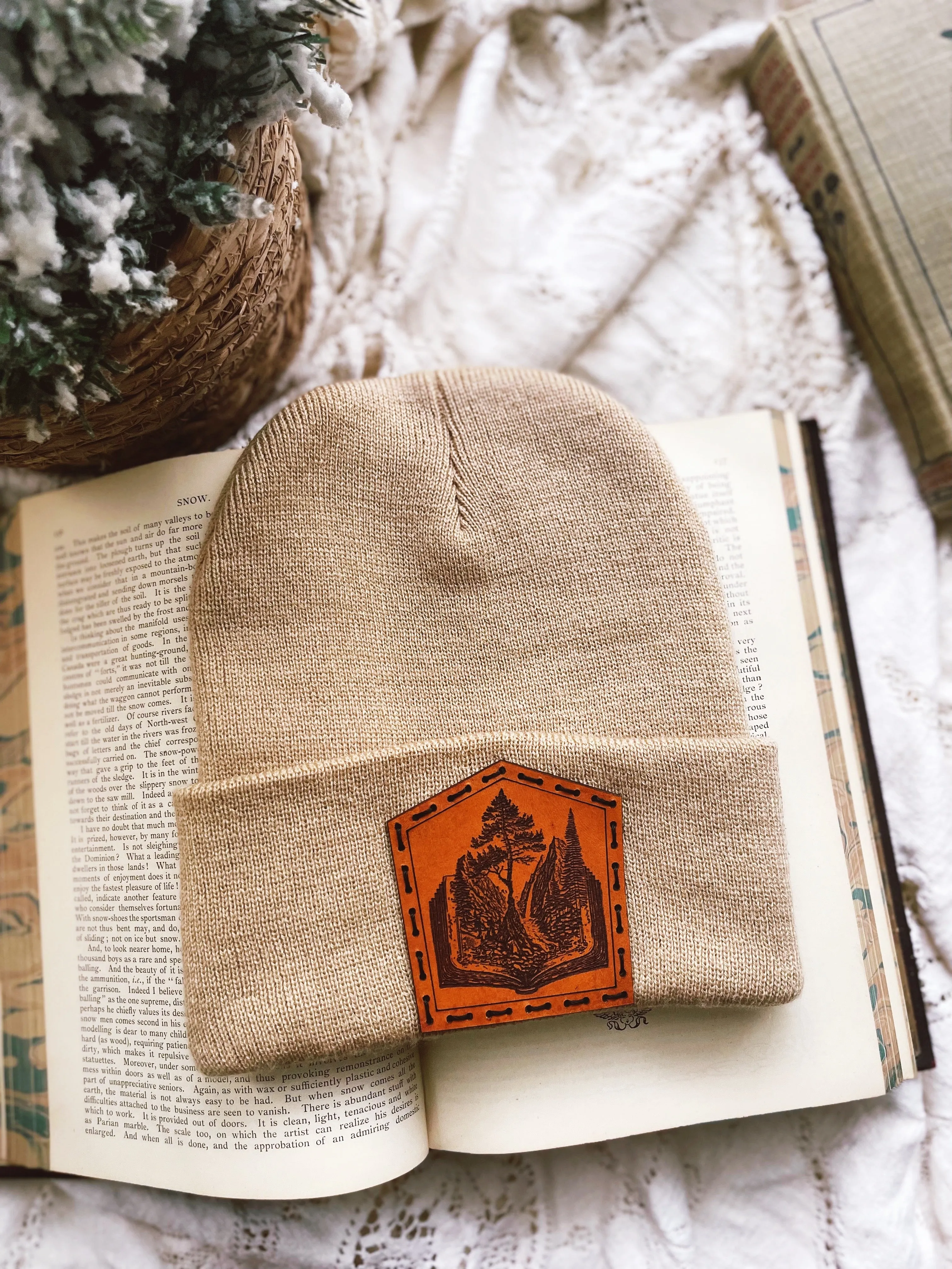 Cozy Storybook Beanie