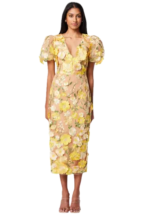 Elliatt Indie Midi Dress with 3D Floral Embroidery