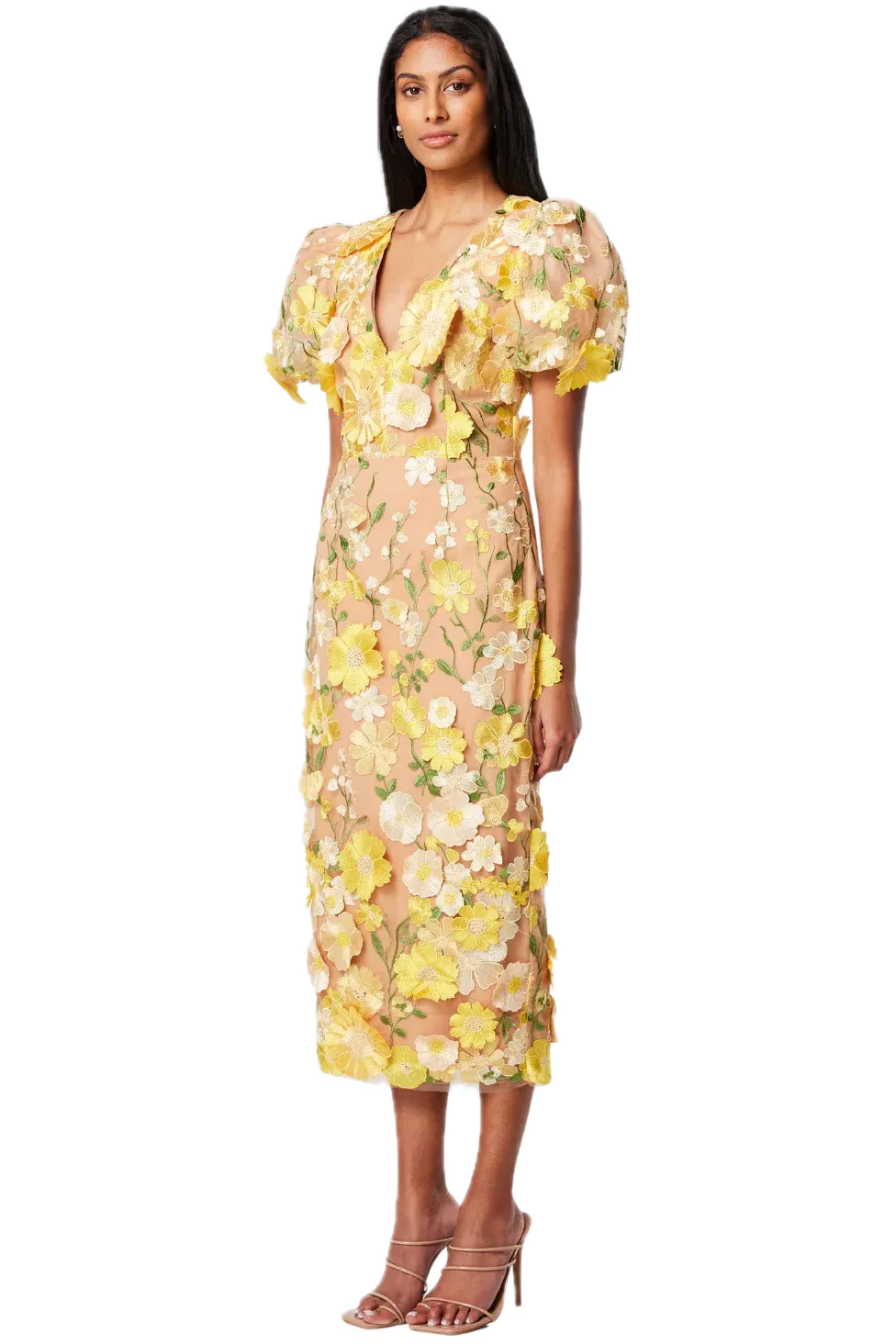 Elliatt Indie Midi Dress with 3D Floral Embroidery