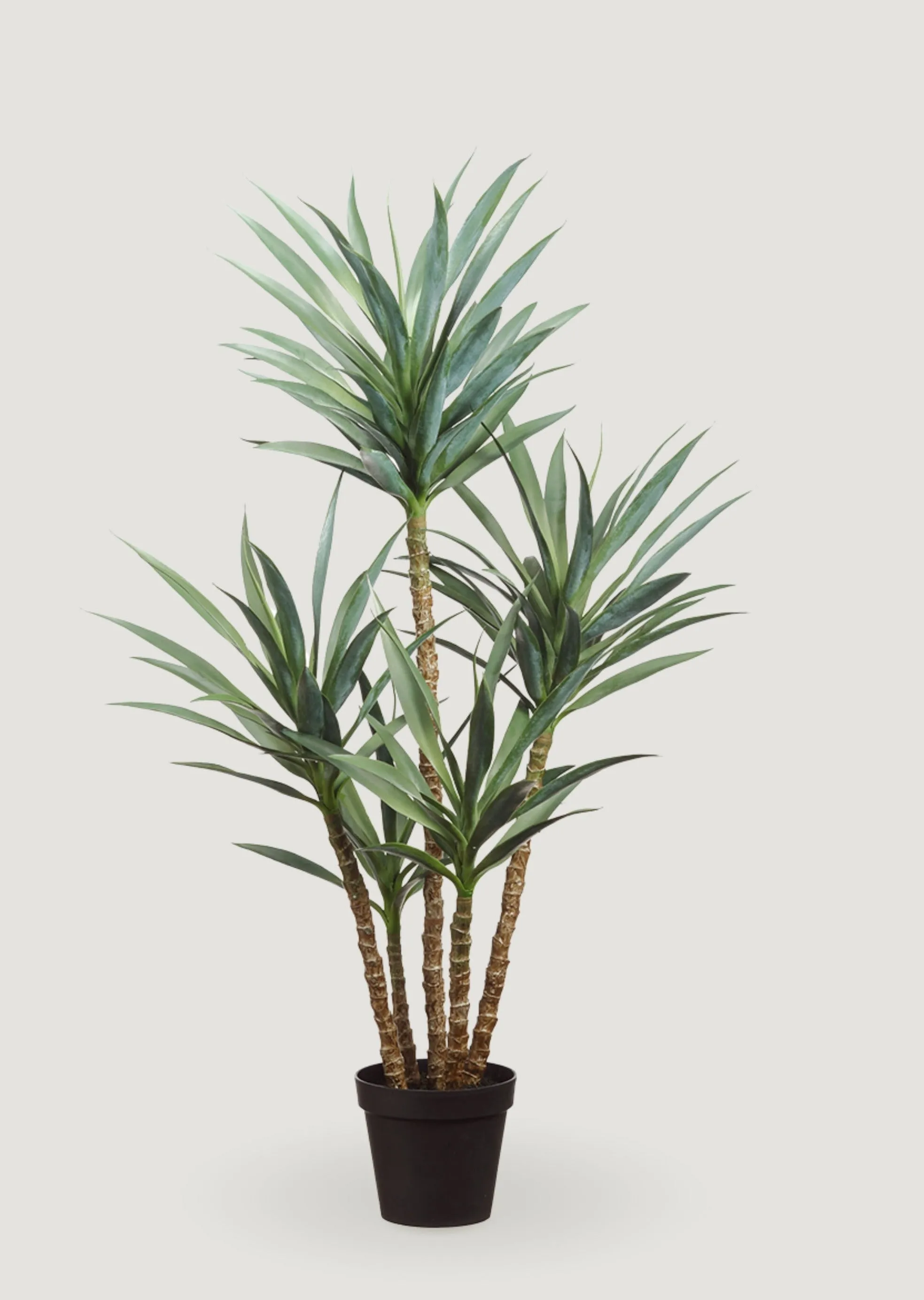 Fake Yucca Tree Potted Plant - 60"