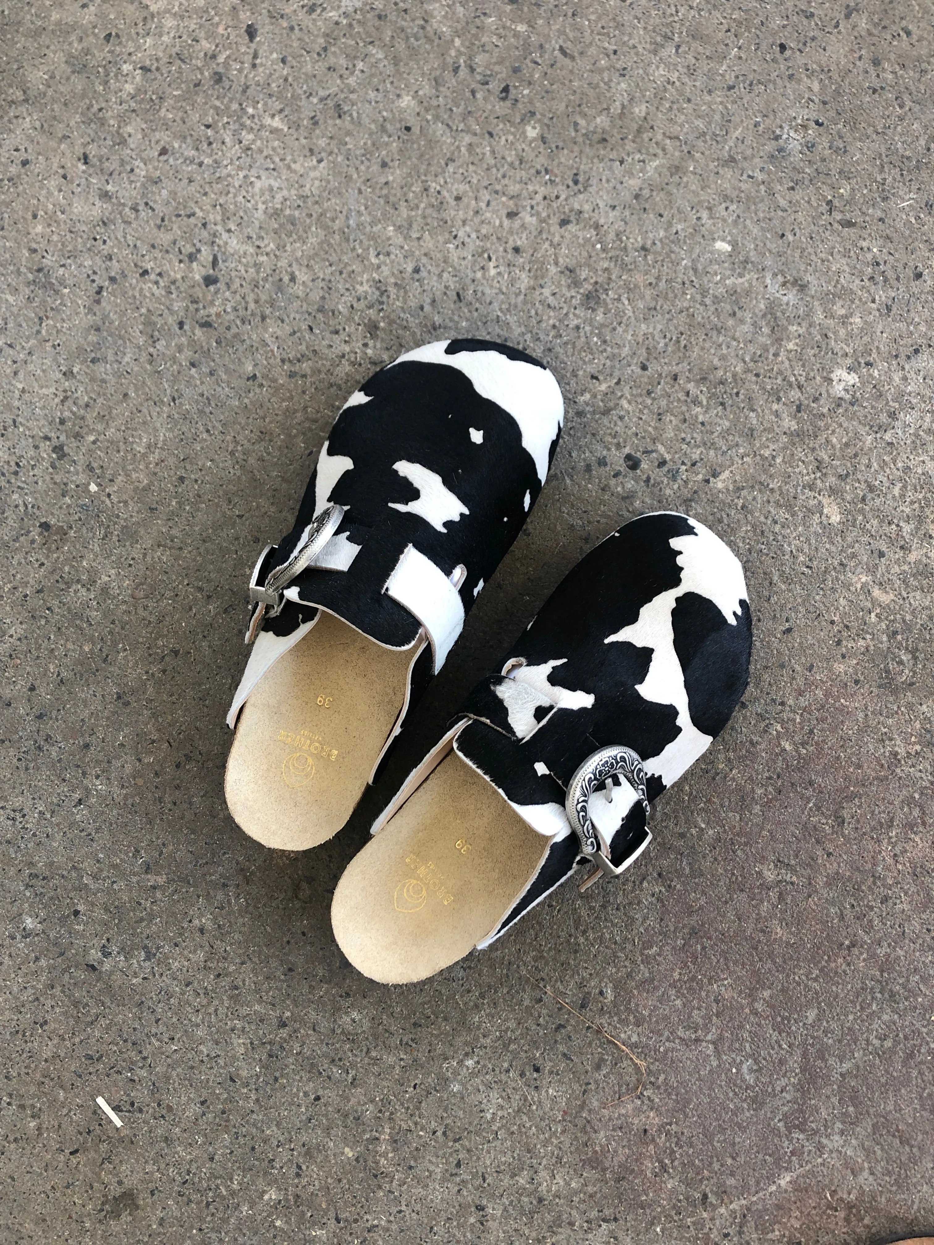 Women's Greg Shoe in Black Cow